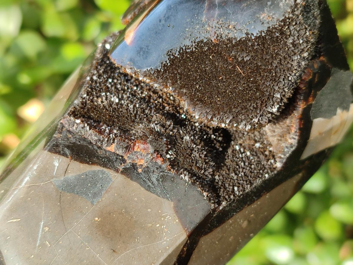 Polished and Natural Septerye Sauvage Display Crystals x 2 From Mahajanga, Madagascar