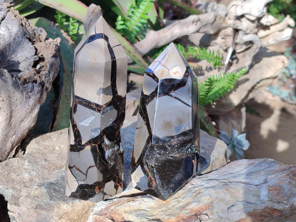 Polished and Natural Septerye Sauvage Display Crystals x 2 From Mahajanga, Madagascar