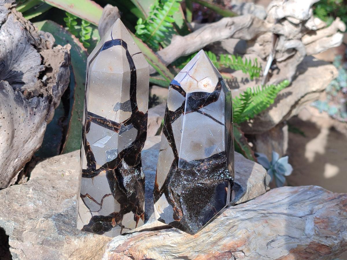 Polished and Natural Septerye Sauvage Display Crystals x 2 From Mahajanga, Madagascar