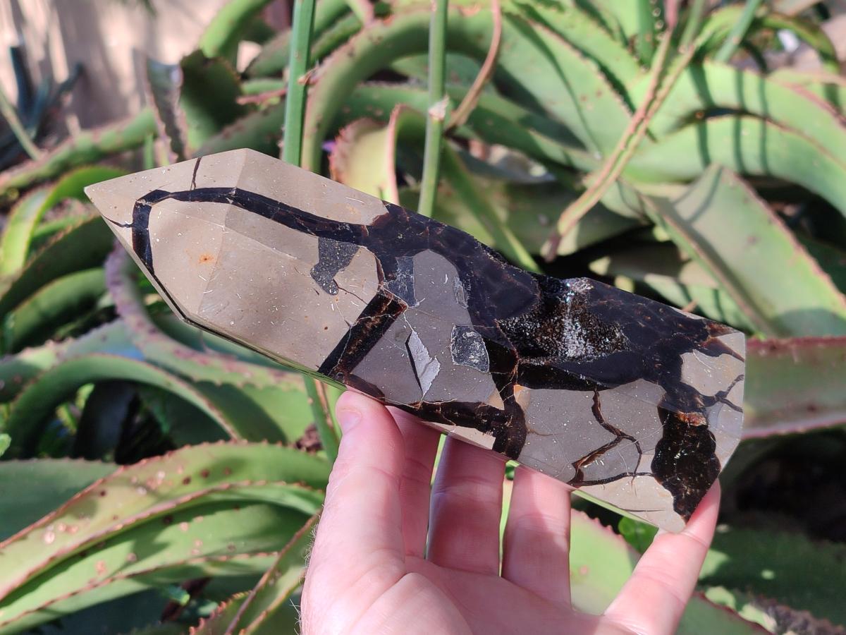 Polished and Natural Septerye Sauvage Display Crystals x 2 From Mahajanga, Madagascar