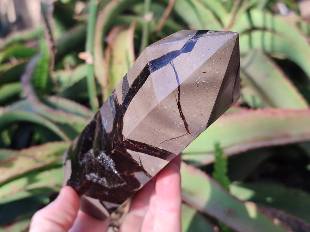 Polished and Natural Septerye Sauvage Display Crystals x 2 From Mahajanga, Madagascar