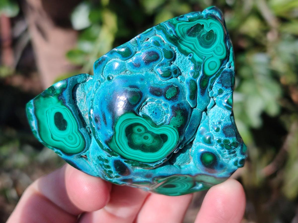 Polished Flower Banded Malachite Free Forms x 6 From Congo