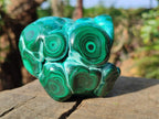 Polished Flower Banded Malachite Free Forms x 6 From Congo