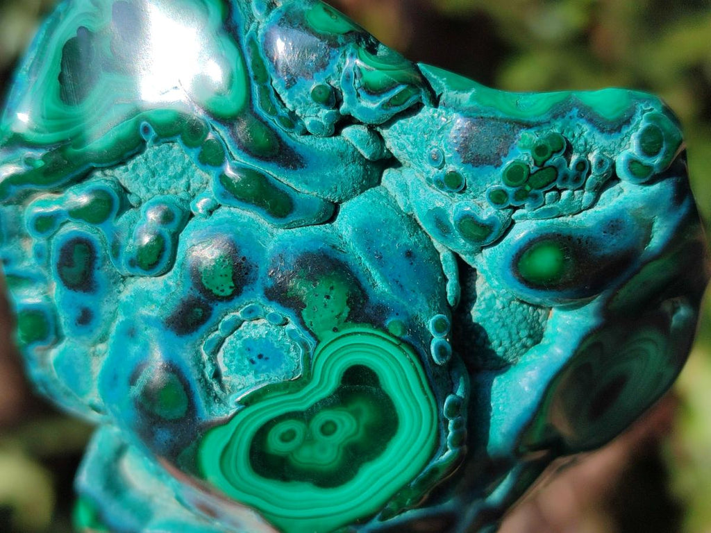 Polished Flower Banded Malachite Free Forms x 6 From Congo