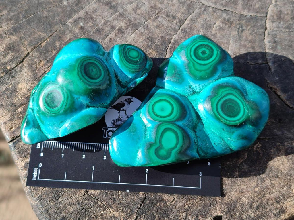 Polished Flower Banded Malachite Free Forms x 6 From Congo