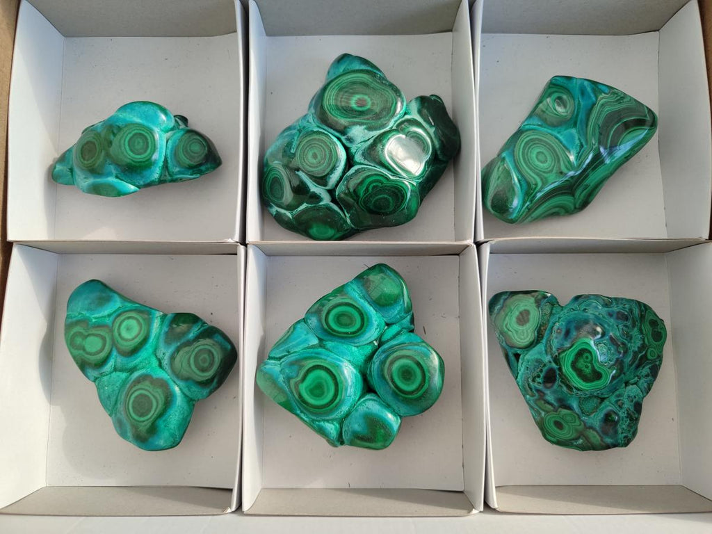 Polished Flower Banded Malachite Free Forms x 6 From Congo
