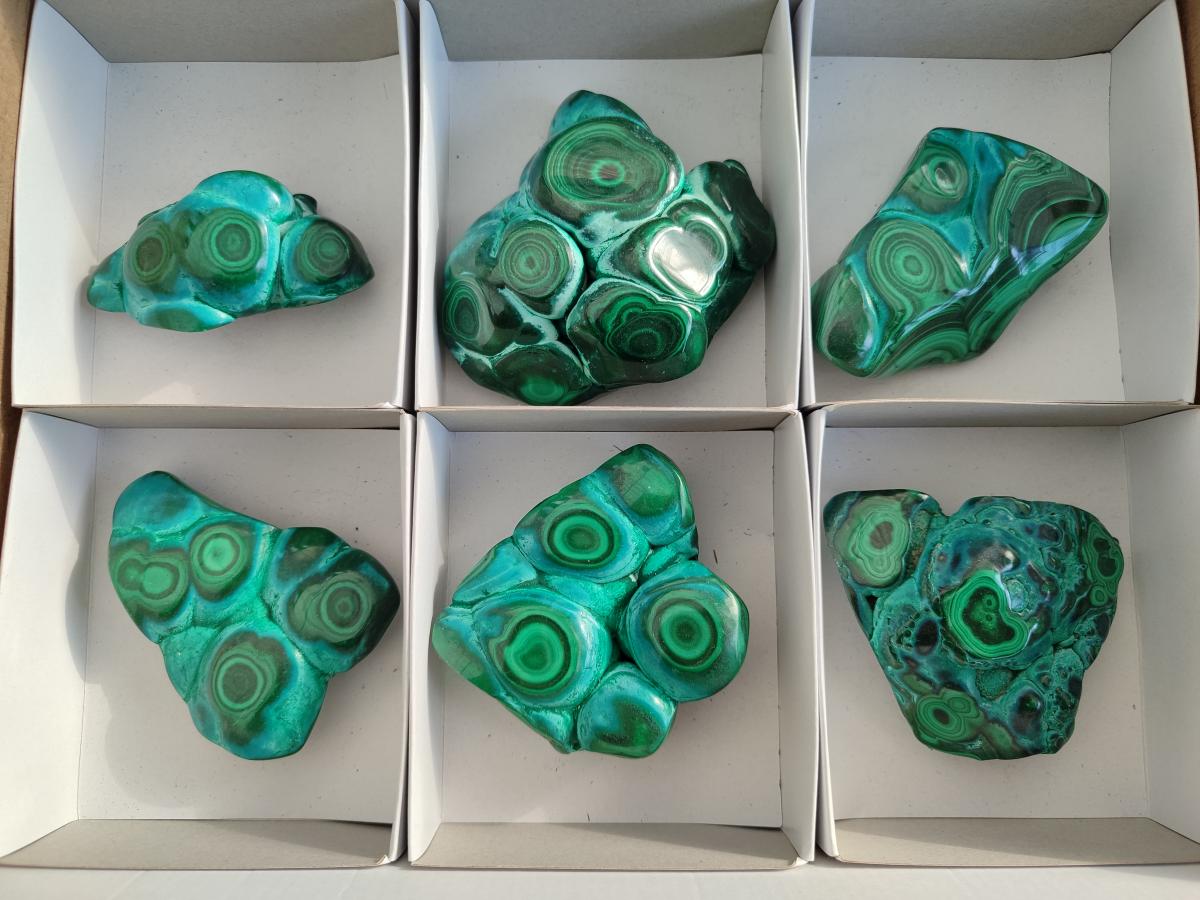 Polished Flower Banded Malachite Free Forms x 6 From Congo