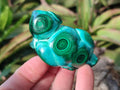 Polished Flower Banded Malachite Free Forms x 6 From Congo