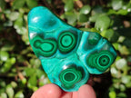 Polished Flower Banded Malachite Free Forms x 6 From Congo