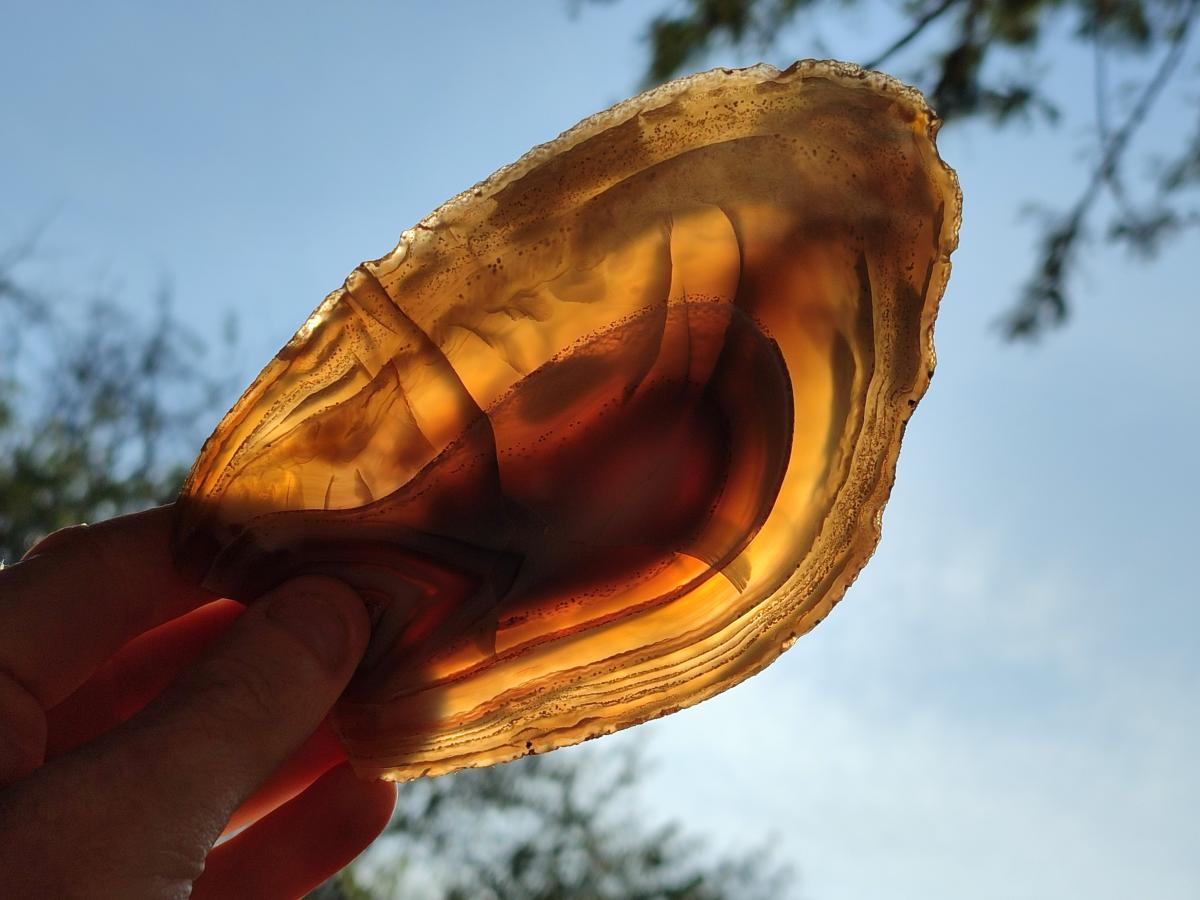 Polished Red Shashe River Agate Slices with Natural Edgings x 4 From Shashe River, Zimbabwe