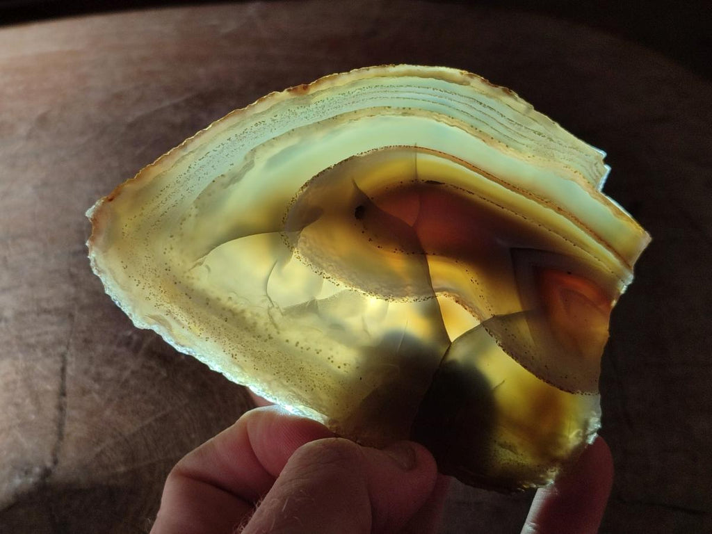 Polished Red Shashe River Agate Slices with Natural Edgings x 4 From Shashe River, Zimbabwe