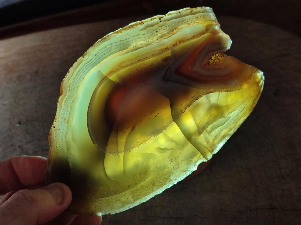 Polished Red Shashe River Agate Slices with Natural Edgings x 4 From Shashe River, Zimbabwe
