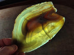 Polished Red Shashe River Agate Slices with Natural Edgings x 4 From Shashe River, Zimbabwe
