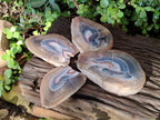 Polished Red Shashe River Agate Slices with Natural Edgings x 4 From Shashe River, Zimbabwe