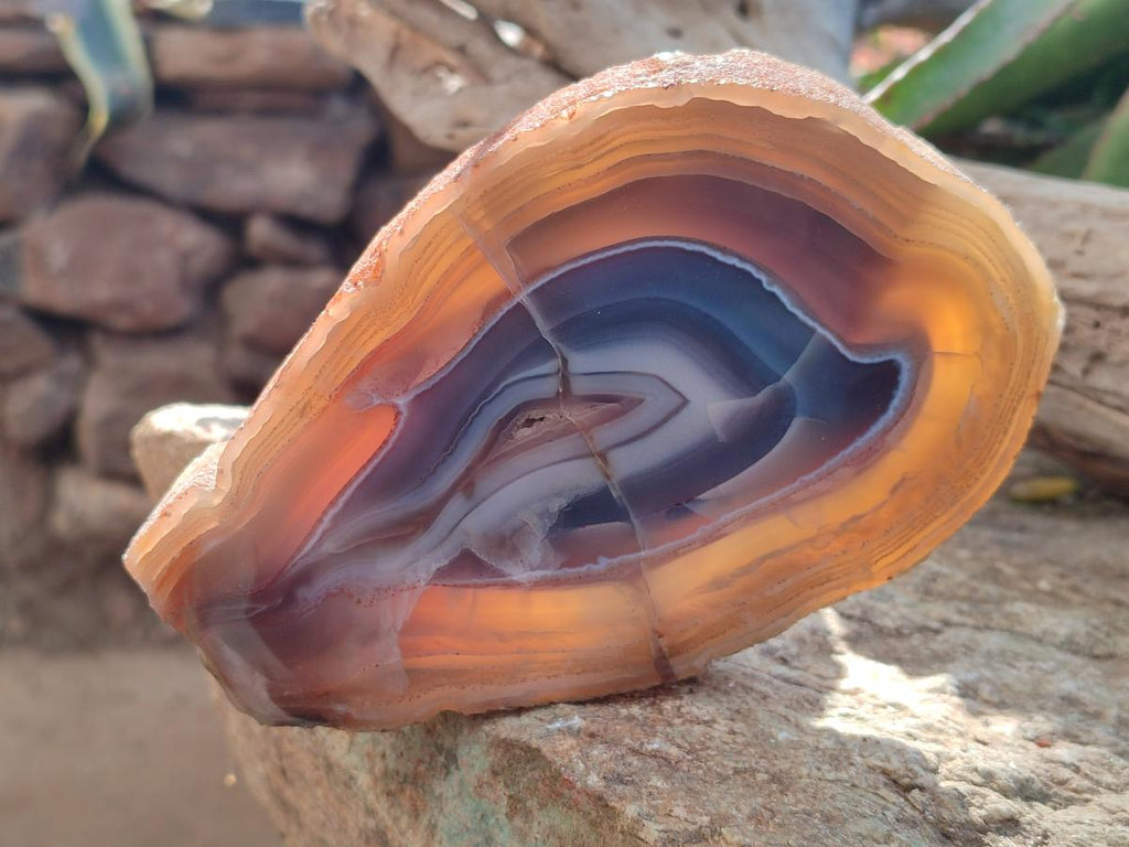 Polished Red Shashe River Agate Slices with Natural Edgings x 4 From Shashe River, Zimbabwe