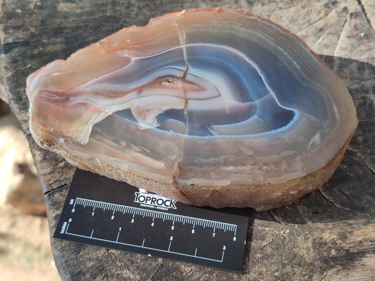 Polished Red Shashe River Agate Slices with Natural Edgings x 4 From Shashe River, Zimbabwe