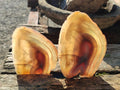 Polished Red Shashe River Agate Slices with Natural Edgings x 4 From Shashe River, Zimbabwe