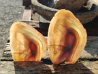 Polished Red Shashe River Agate Slices with Natural Edgings x 4 From Shashe River, Zimbabwe