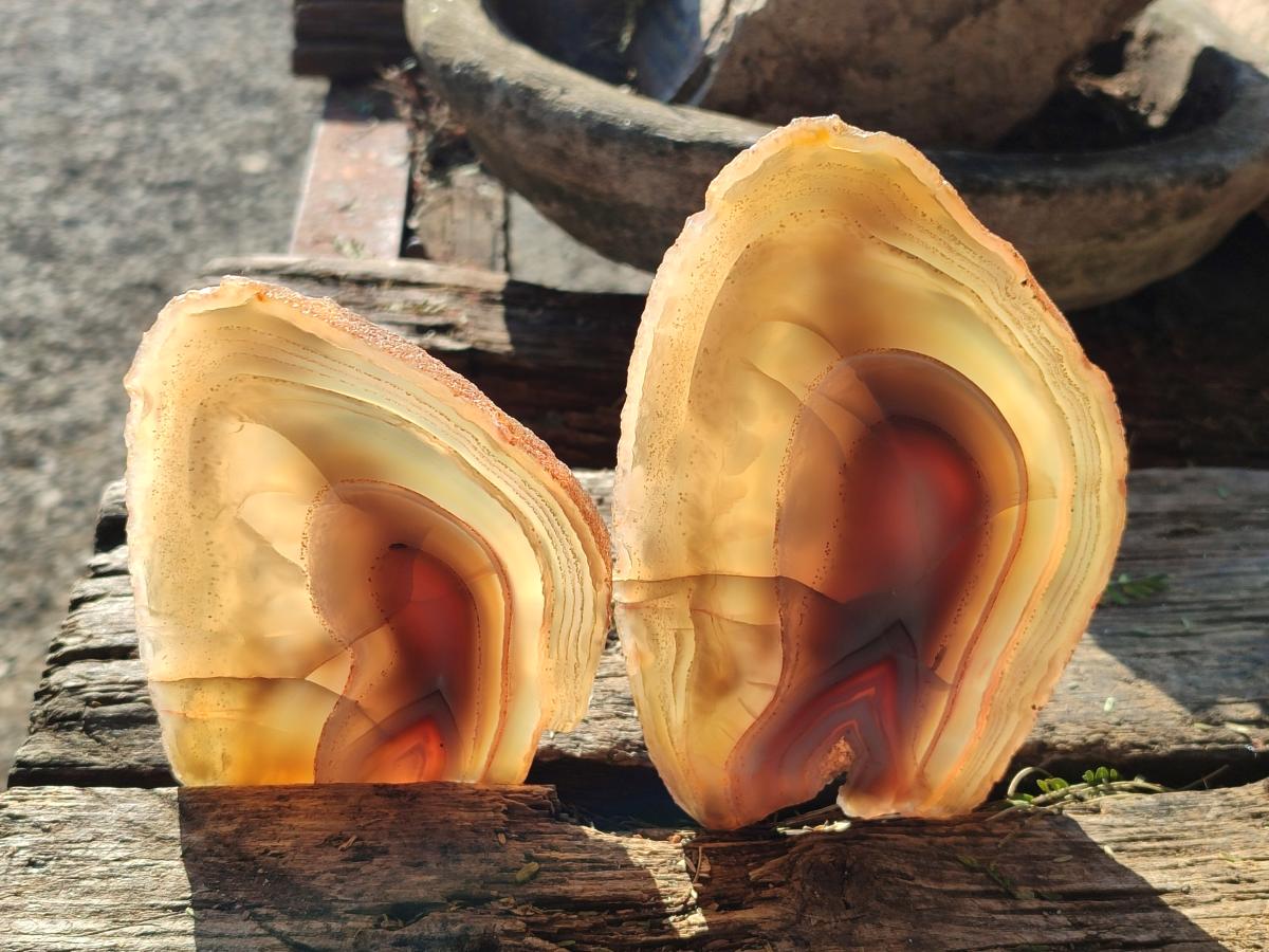 Polished Red Shashe River Agate Slices with Natural Edgings x 4 From Shashe River, Zimbabwe