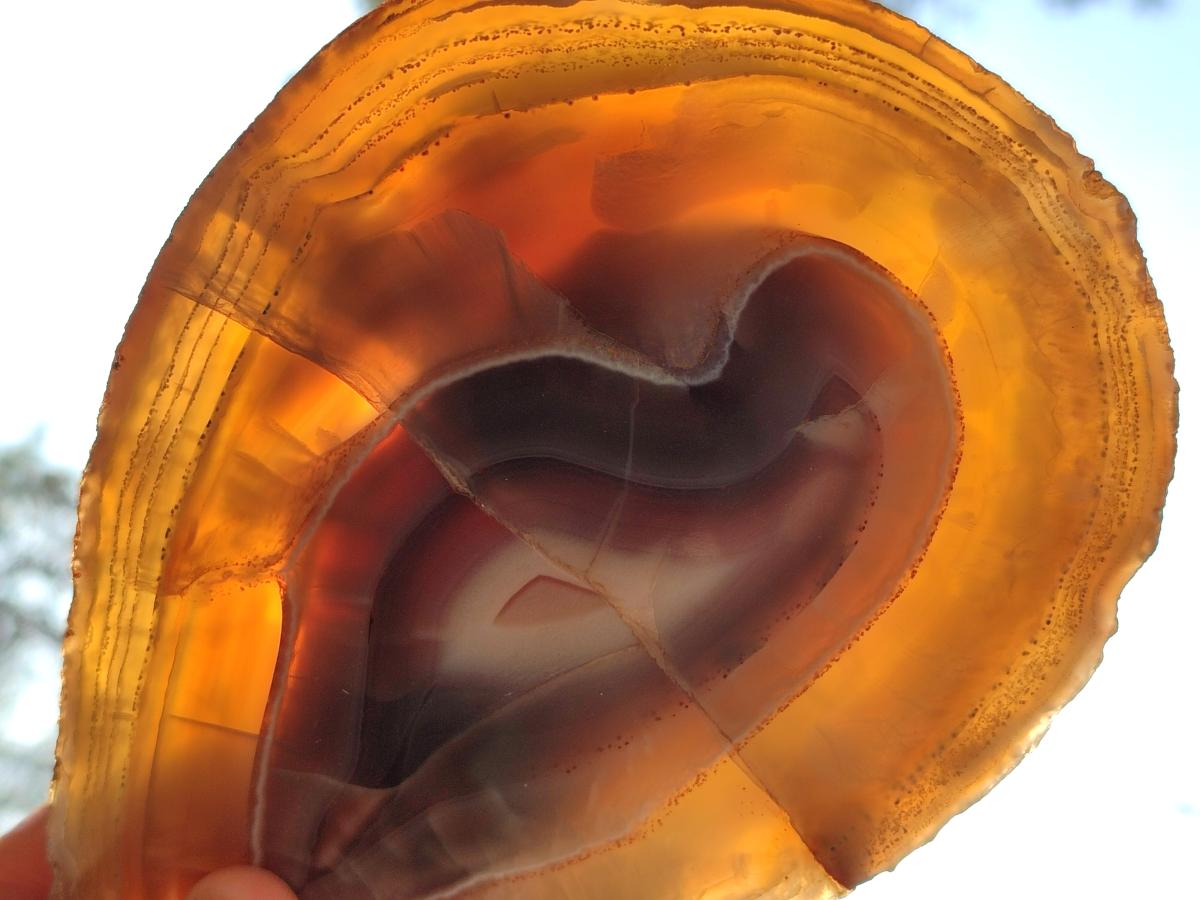 Polished Red Shashe River Agate Slices with Natural Edgings x 4 From Shashe River, Zimbabwe