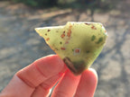 Polished One Side Mtorolite Chrysoprase Slices x 35 From Mutorashanga, Zimbabwe