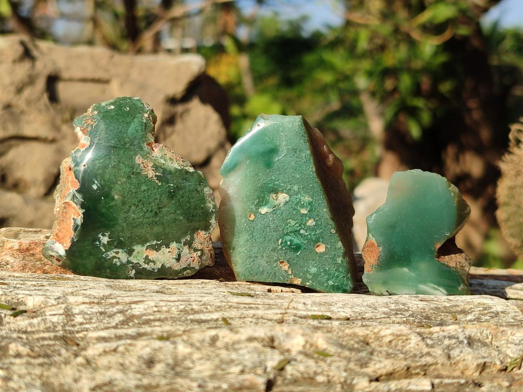 Polished One Side Mtorolite Chrysoprase Slices x 35 From Mutorashanga, Zimbabwe