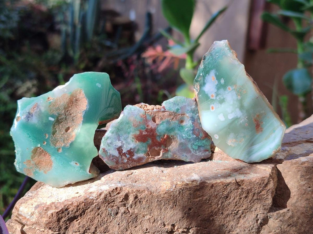 Polished One Side Mtorolite Chrysoprase Slices x 35 From Mutorashanga, Zimbabwe