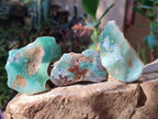 Polished One Side Mtorolite Chrysoprase Slices x 35 From Mutorashanga, Zimbabwe