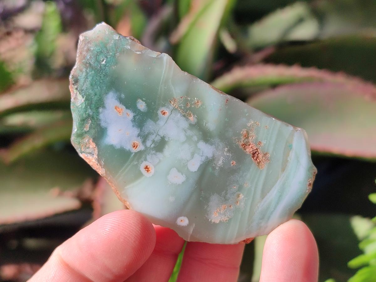 Polished One Side Mtorolite Chrysoprase Slices x 35 From Mutorashanga, Zimbabwe