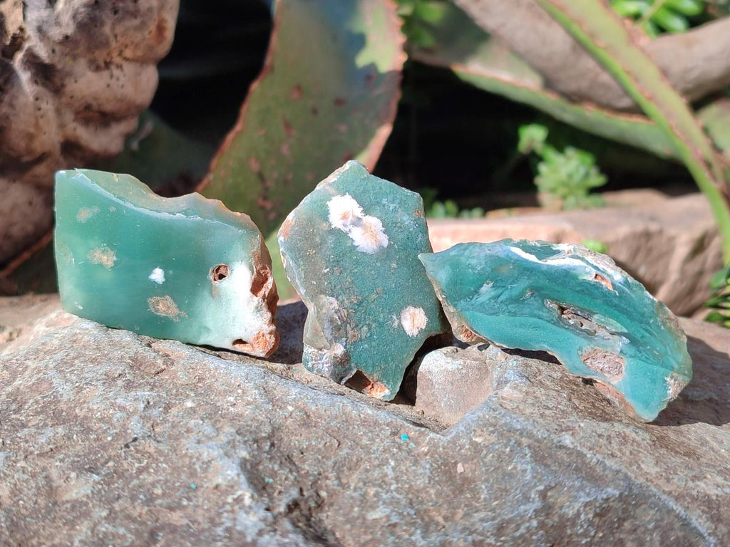 Polished One Side Mtorolite Chrysoprase Slices x 35 From Mutorashanga, Zimbabwe