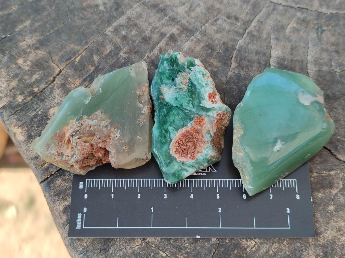Polished One Side Mtorolite Chrysoprase Slices x 35 From Mutorashanga, Zimbabwe