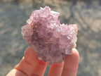 Natural Spirit Amethyst Clusters x 12 From Boekenhouthoek, South Africa