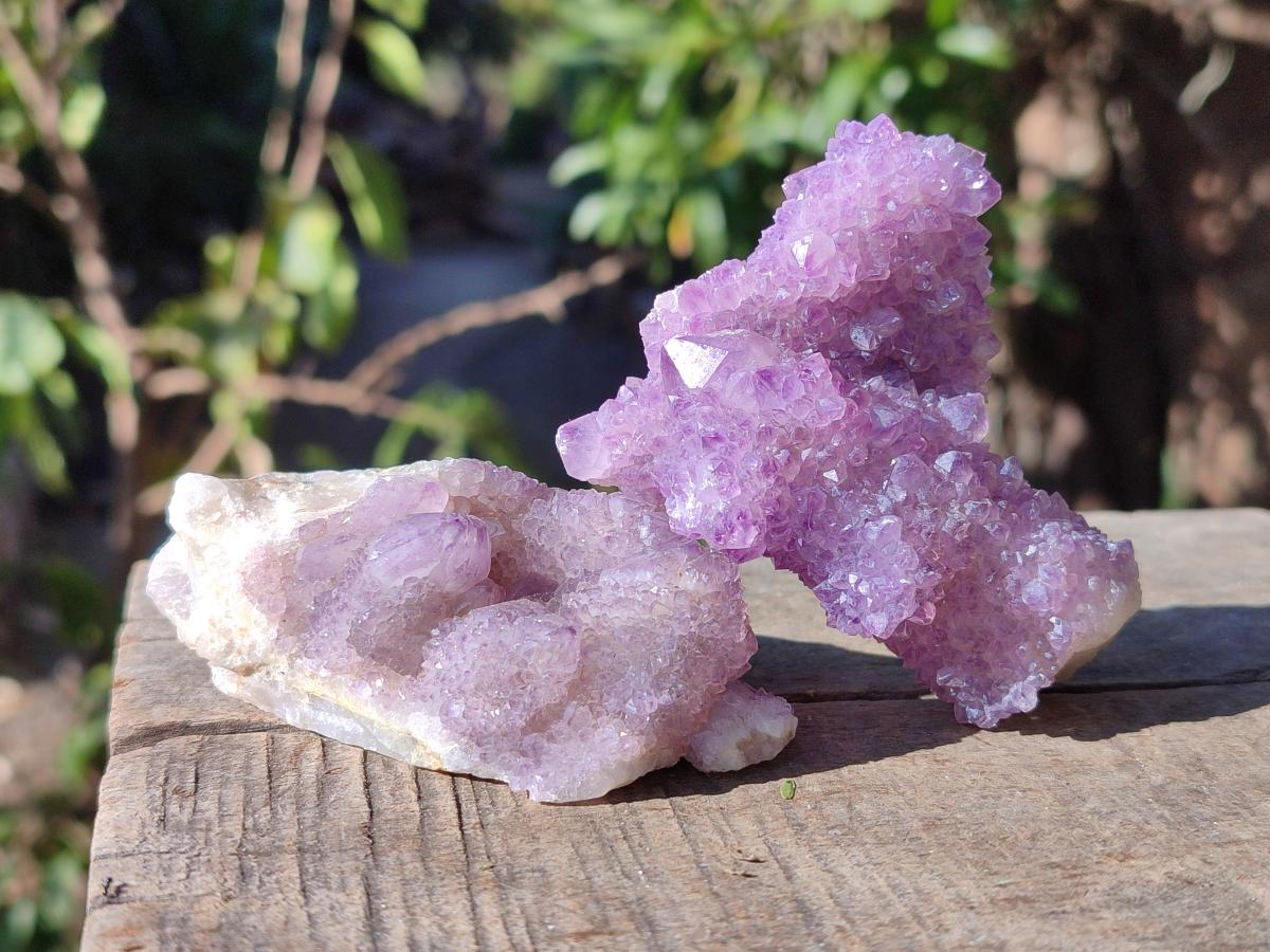 Natural Spirit Amethyst Clusters x 12 From Boekenhouthoek, South Africa