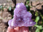 Natural Spirit Amethyst Clusters x 12 From Boekenhouthoek, South Africa