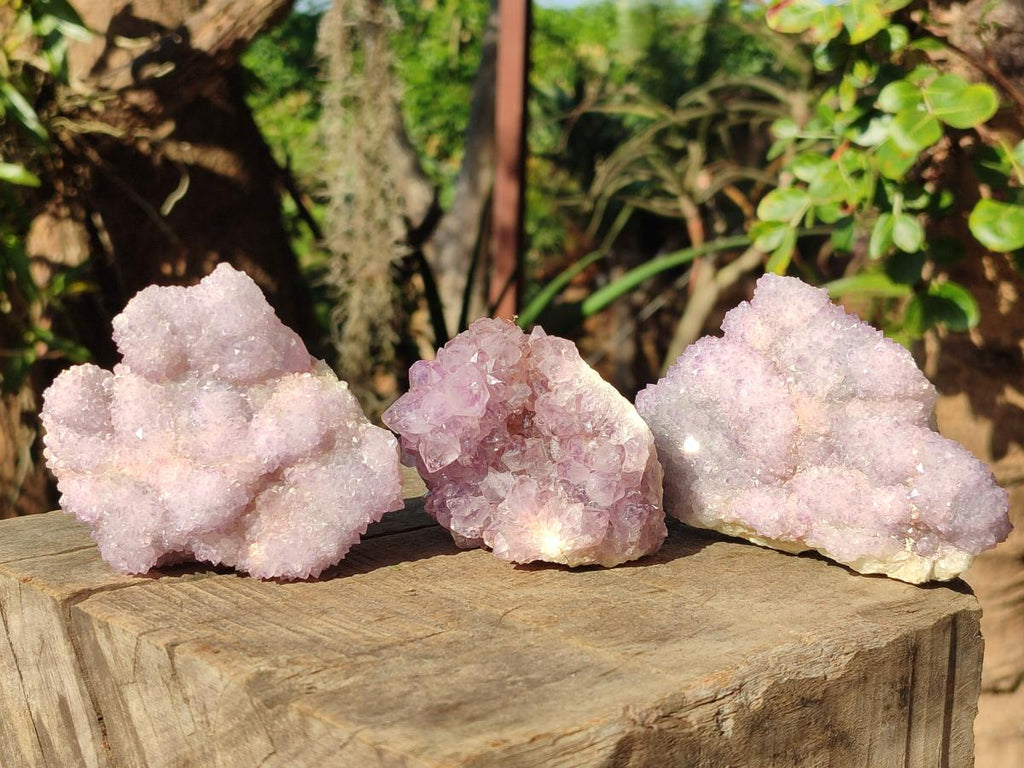 Natural Spirit Amethyst Clusters x 12 From Boekenhouthoek, South Africa