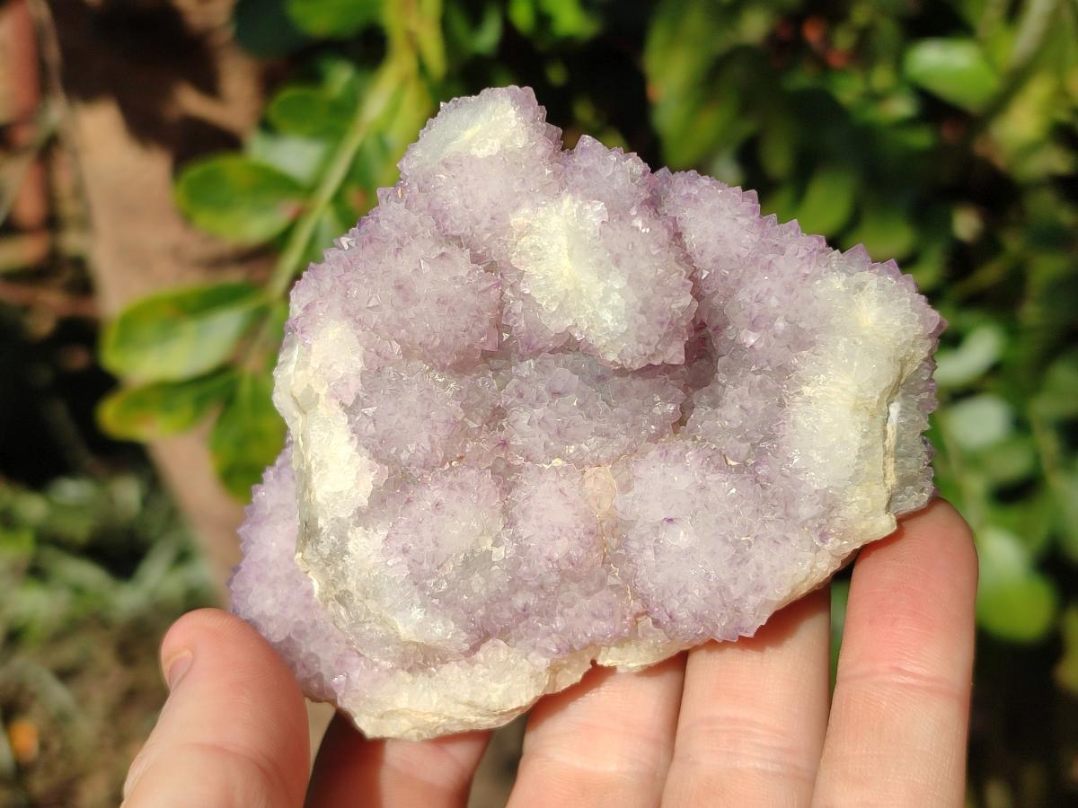 Natural Spirit Amethyst Clusters x 12 From Boekenhouthoek, South Africa