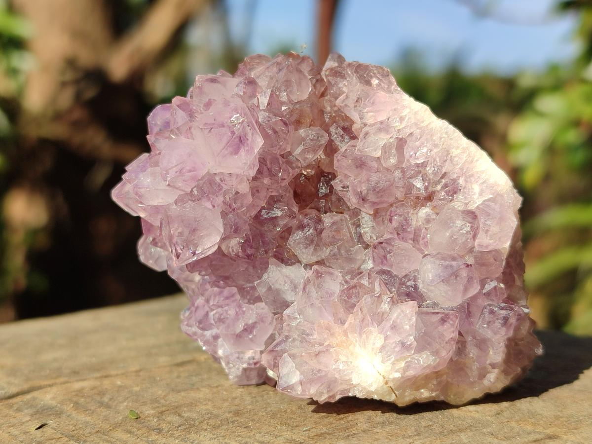 Natural Spirit Amethyst Clusters x 12 From Boekenhouthoek, South Africa