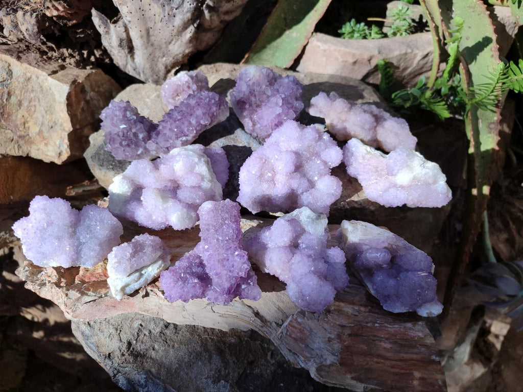 Natural Spirit Amethyst Clusters x 12 From Boekenhouthoek, South Africa