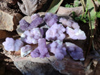Natural Spirit Amethyst Clusters x 12 From Boekenhouthoek, South Africa