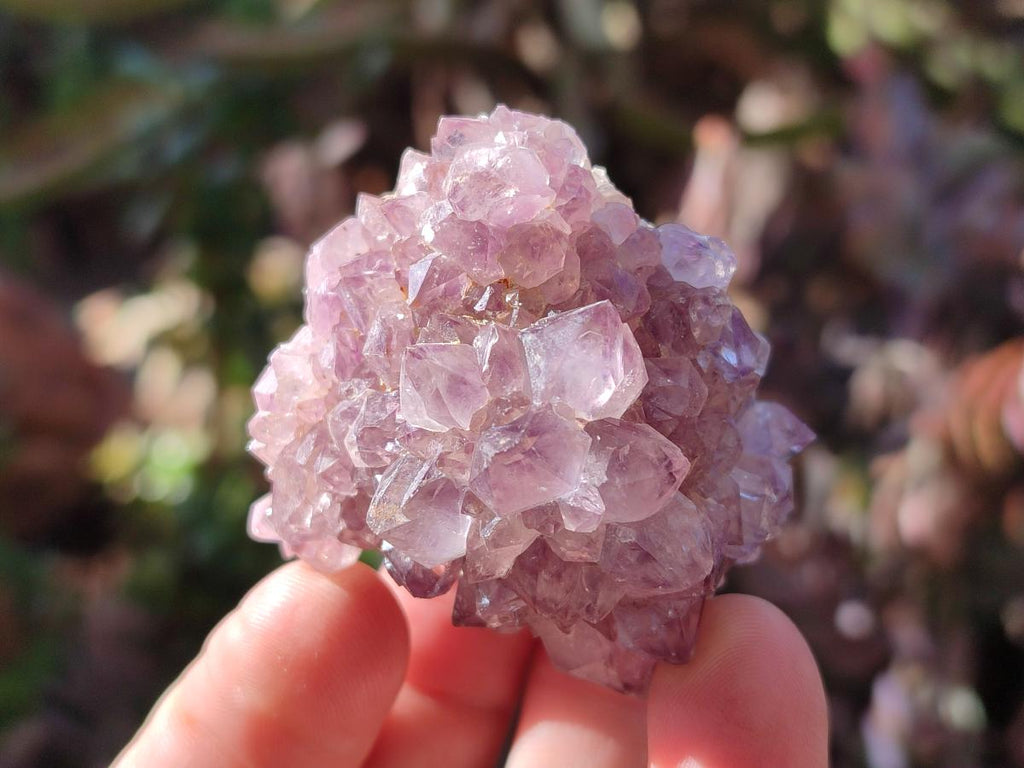 Natural Spirit Amethyst Clusters x 12 From Boekenhouthoek, South Africa