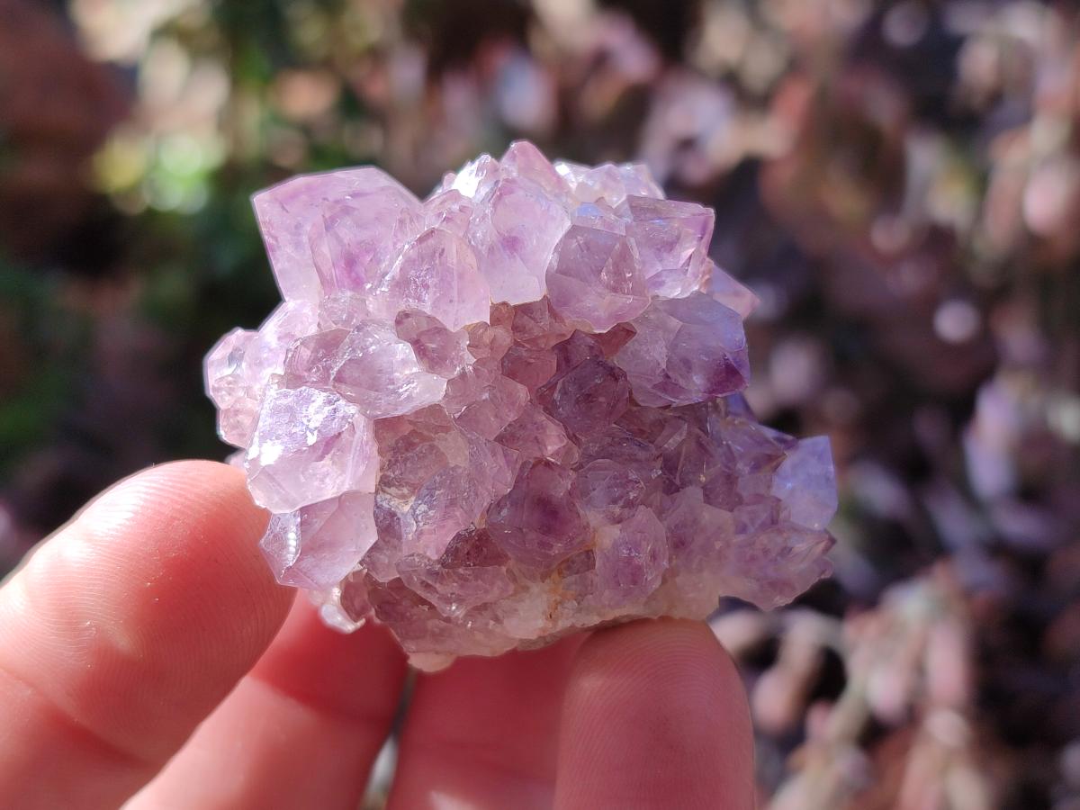 Natural Spirit Amethyst Clusters x 12 From Boekenhouthoek, South Africa
