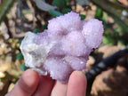 Natural Spirit Amethyst Clusters x 12 From Boekenhouthoek, South Africa