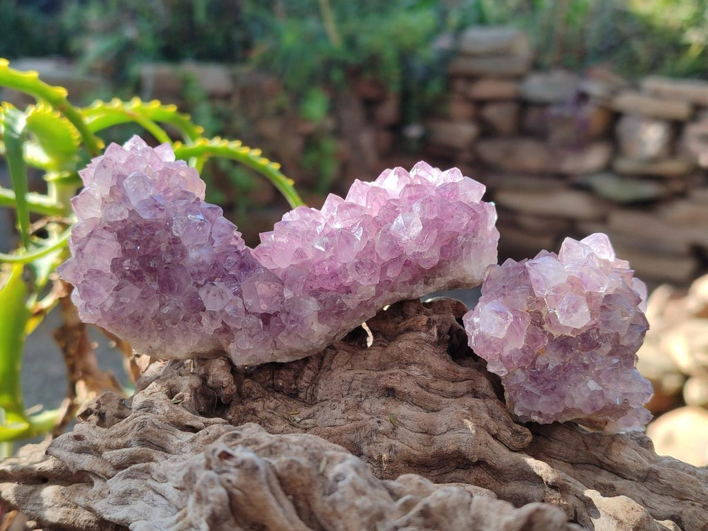 Natural Spirit Amethyst Clusters x 12 From Boekenhouthoek, South Africa