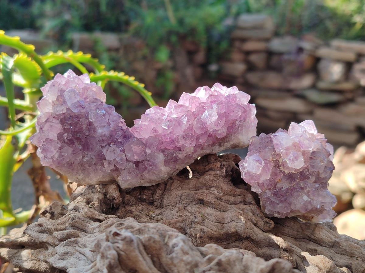 Natural Spirit Amethyst Clusters x 12 From Boekenhouthoek, South Africa