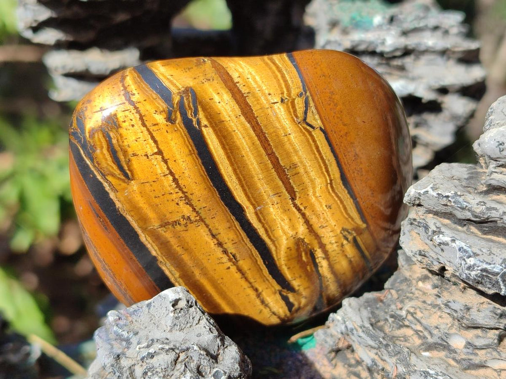 Polished Golden Tigers Eye Free Forms x 12 From Prieska, South Africa