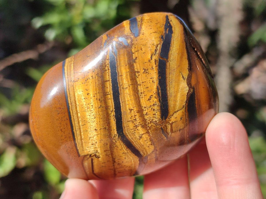 Polished Golden Tigers Eye Free Forms x 12 From Prieska, South Africa