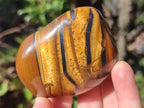 Polished Golden Tigers Eye Free Forms x 12 From Prieska, South Africa