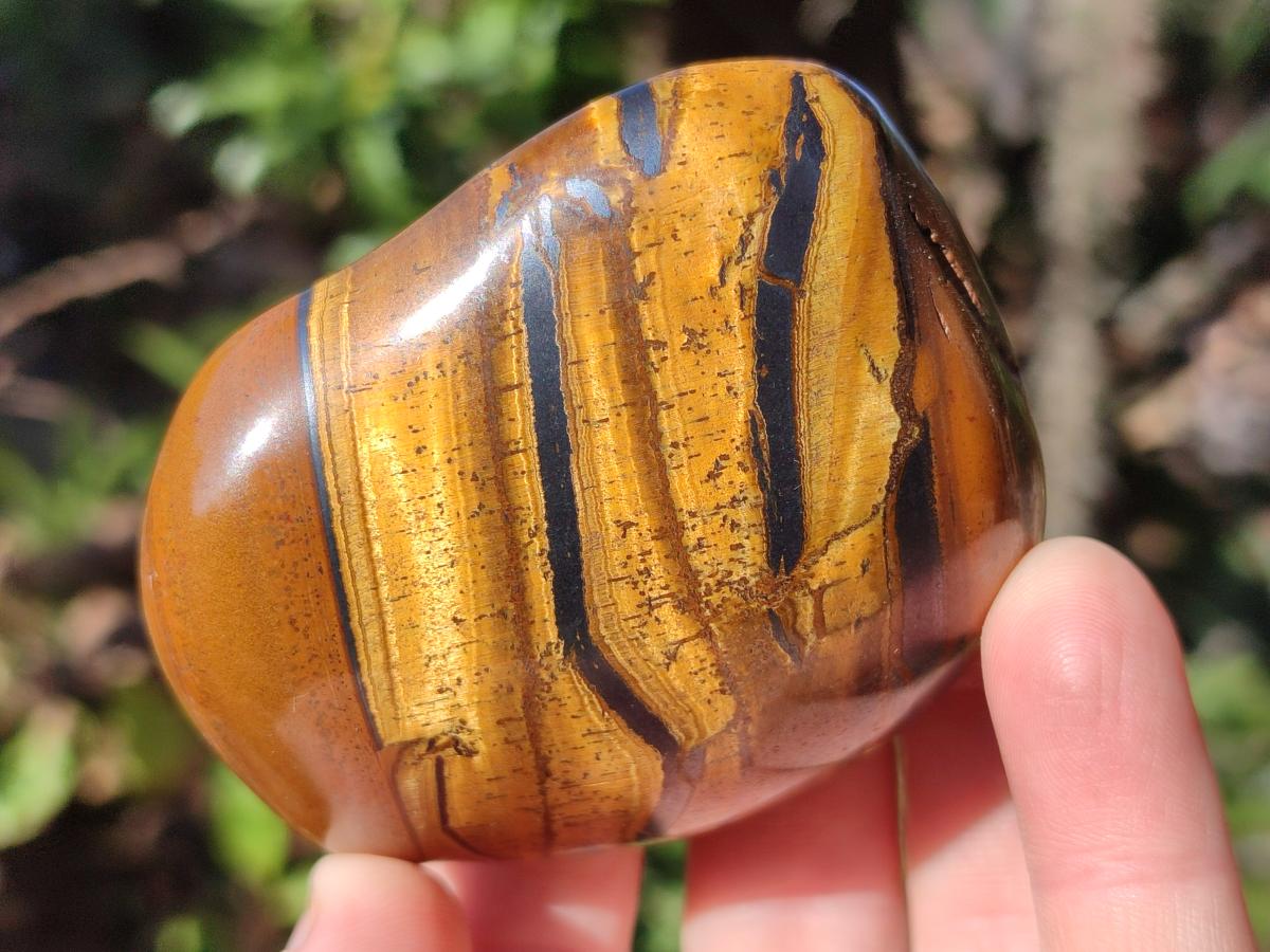 Polished Golden Tigers Eye Free Forms x 12 From Prieska, South Africa