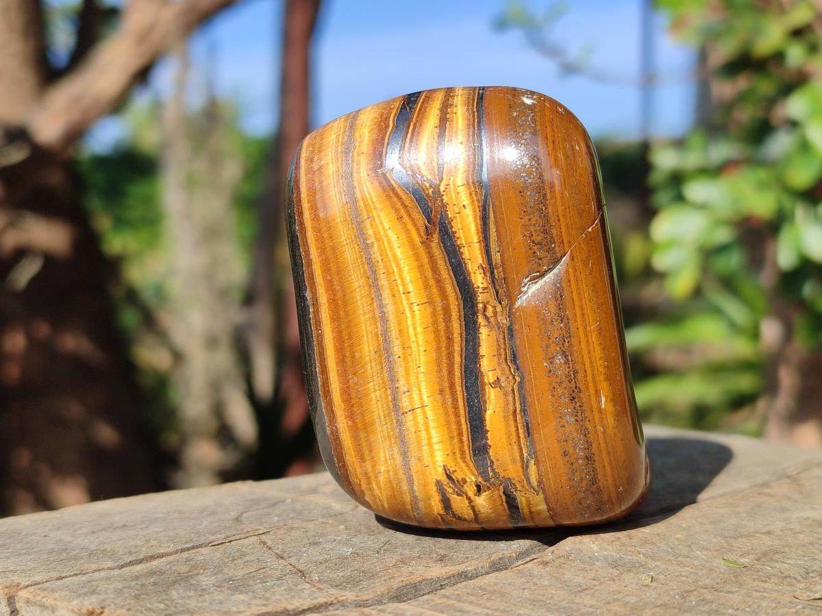Polished Golden Tigers Eye Free Forms x 12 From Prieska, South Africa