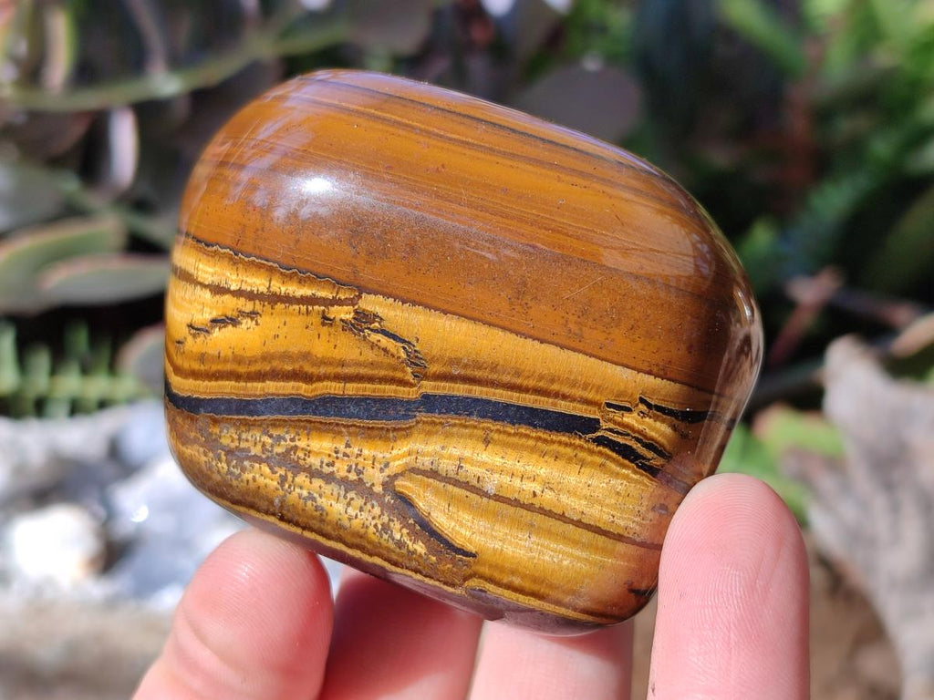 Polished Golden Tigers Eye Free Forms x 12 From Prieska, South Africa